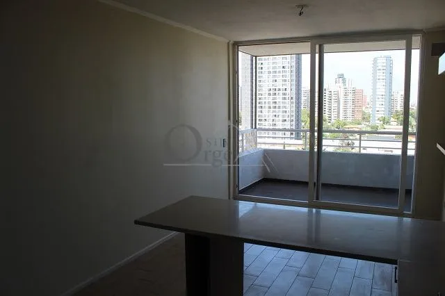 Avenida O'Higgins - Foto 2