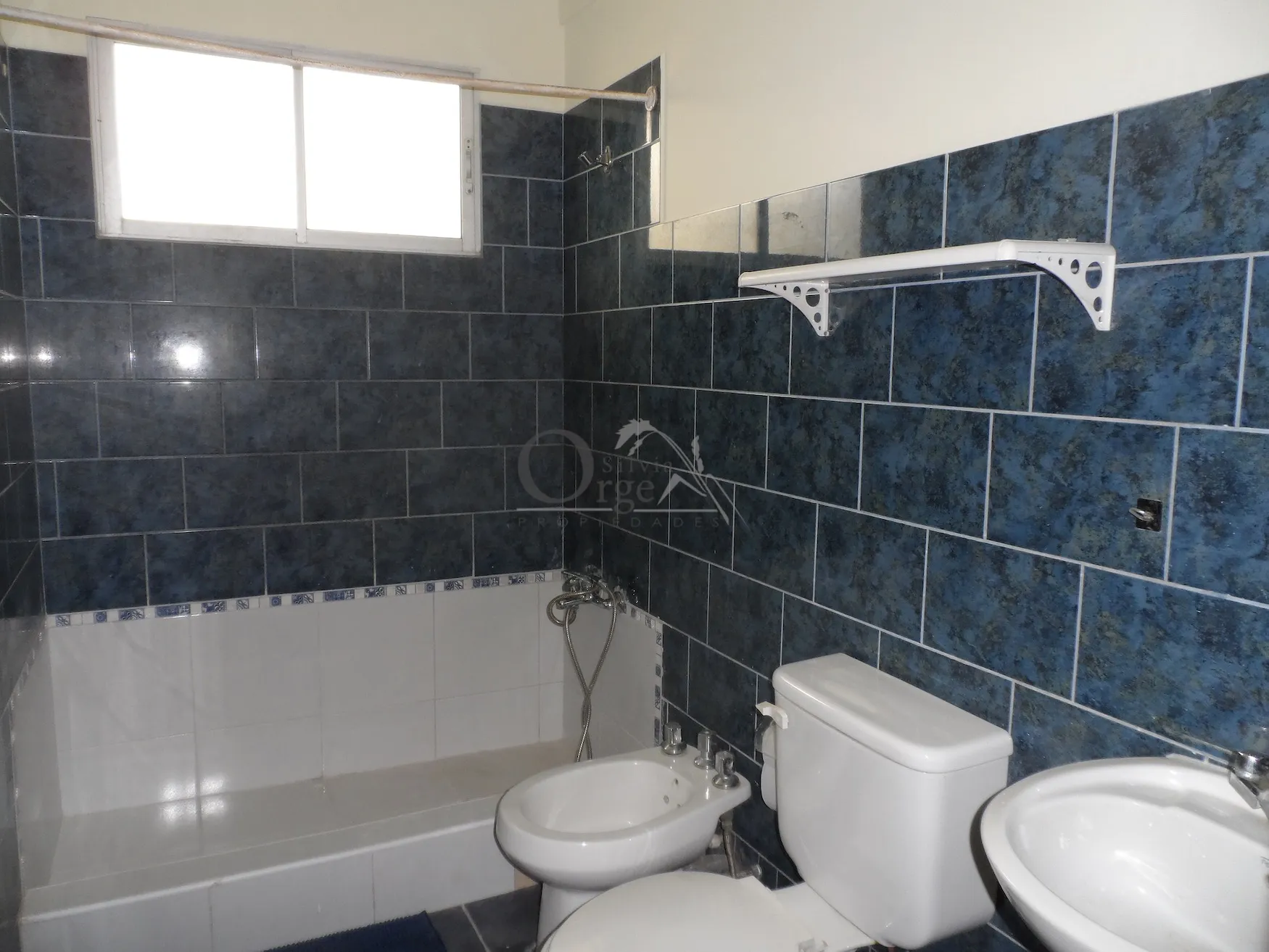 Aconcagua - Sector Avda. Brasil - Foto 25