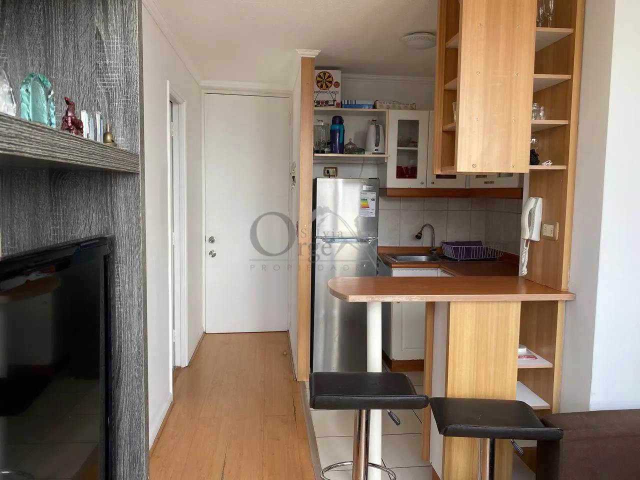 Edificio Europlaza San Isidro II - Foto 3